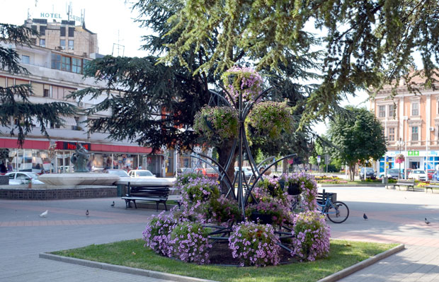 Вршац - град цвећа (ФОТО)
